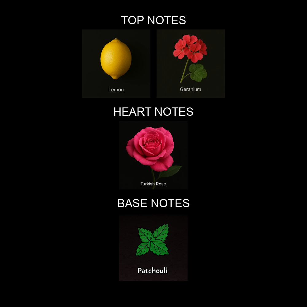 Musk Rose H.A - Image 2